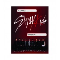Stray Kids 5